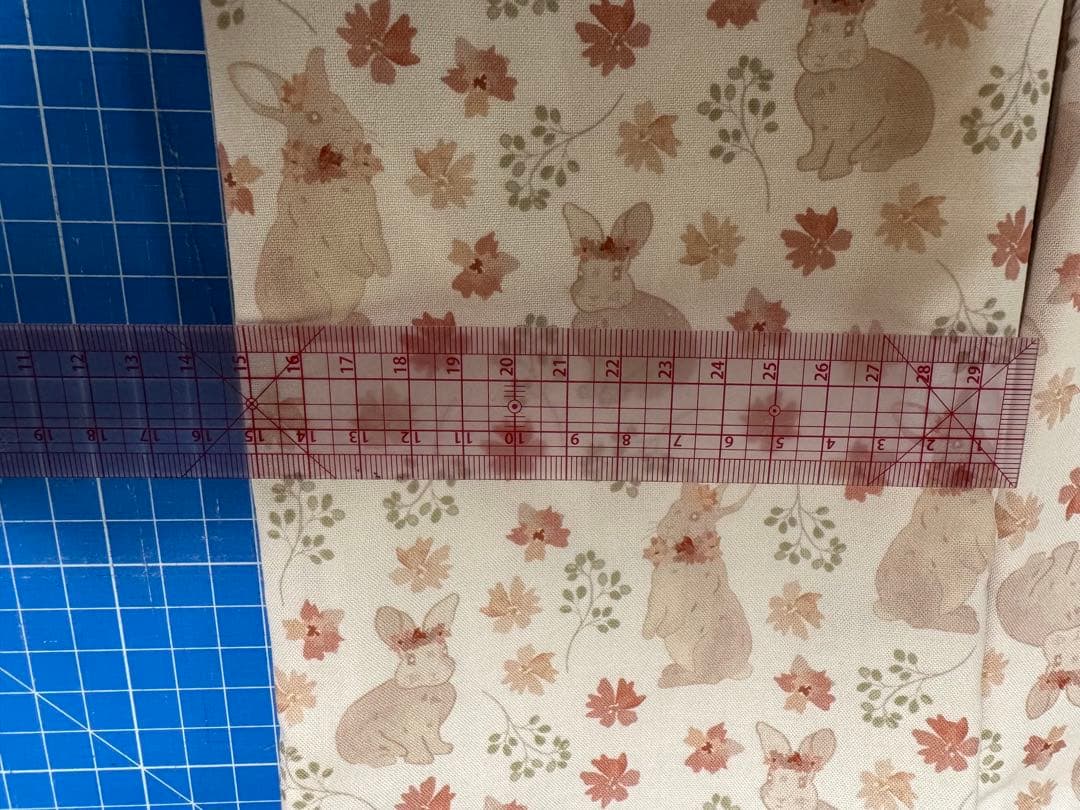 入学入園５点セット　レッスンバック　お着替え袋　給食袋　上履き入ランチョンマット