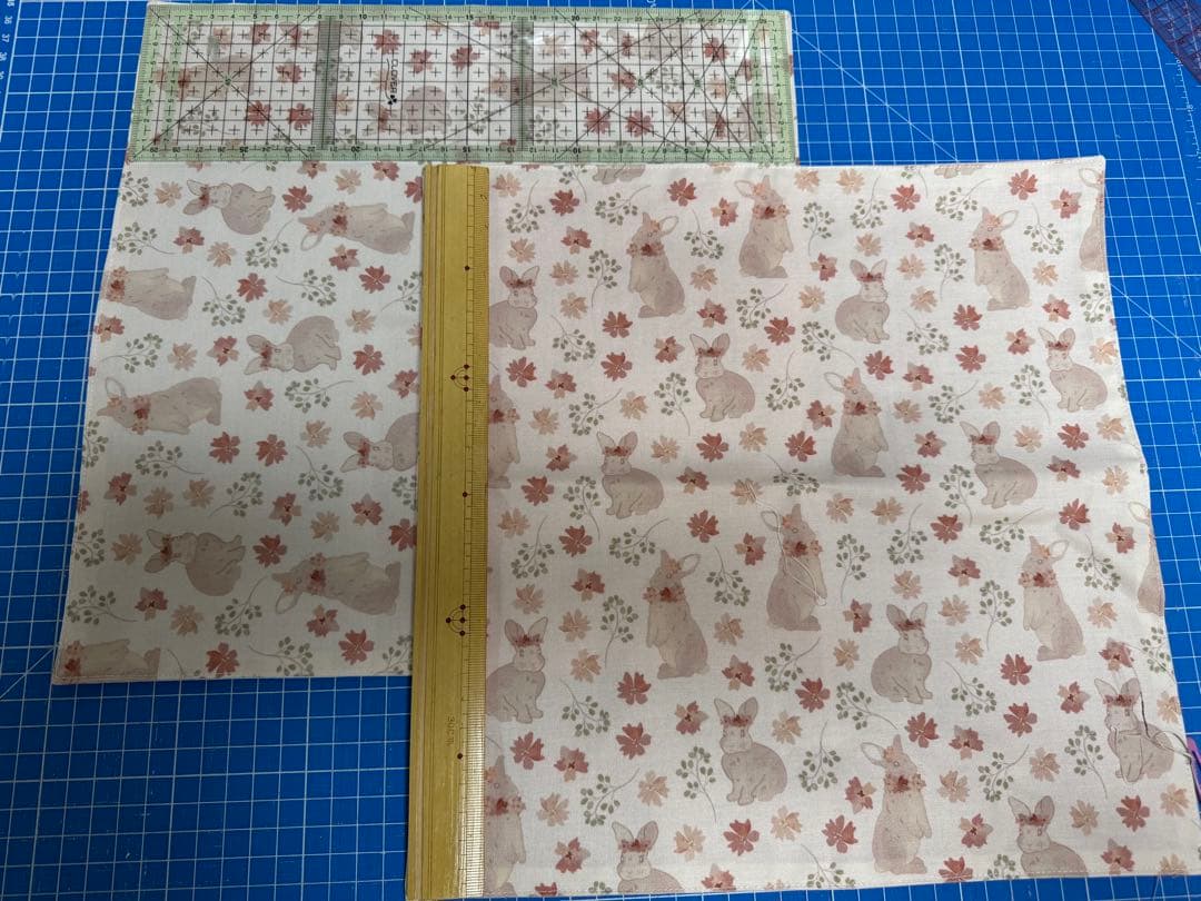 入学入園５点セット　レッスンバック　お着替え袋　給食袋　上履き入ランチョンマット