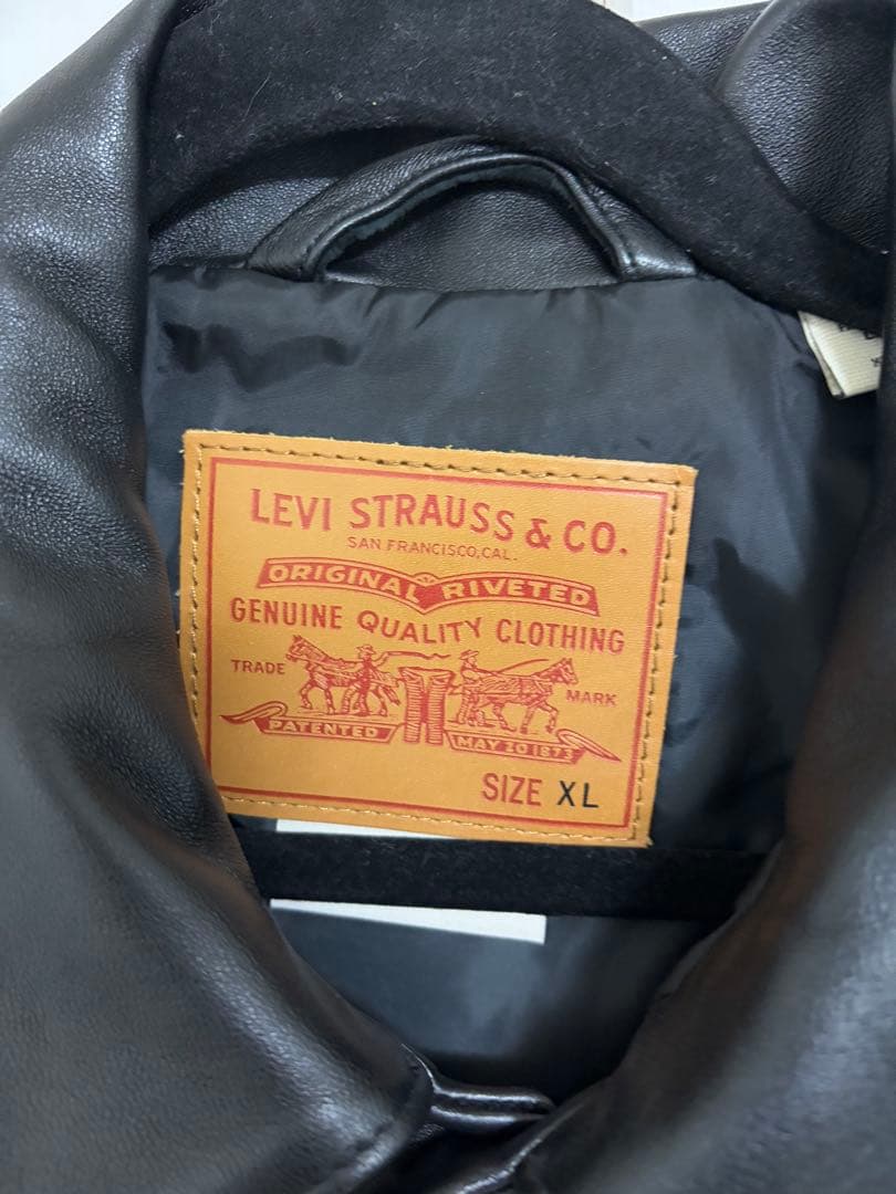 BLACK TYPE Ⅱ TRUCKER LEATHER JACKET