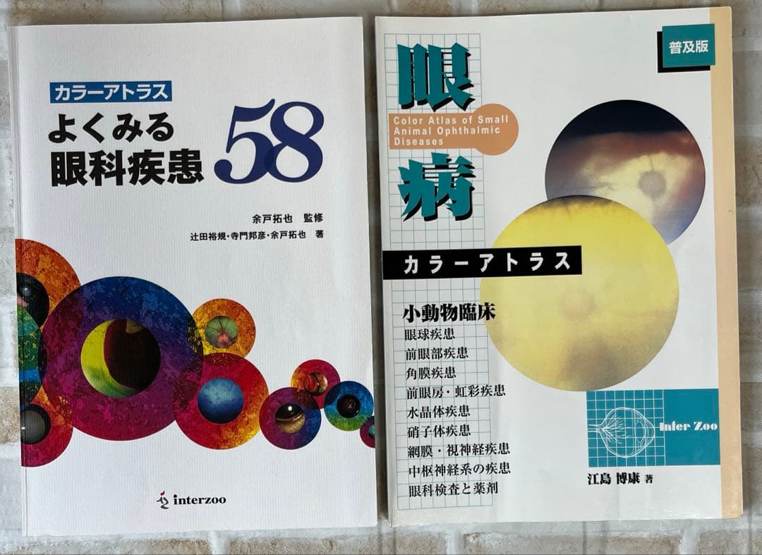 【裁断済】小動物臨床 眼病カラーアトラス　よくみる眼科疾患 58 2冊セット