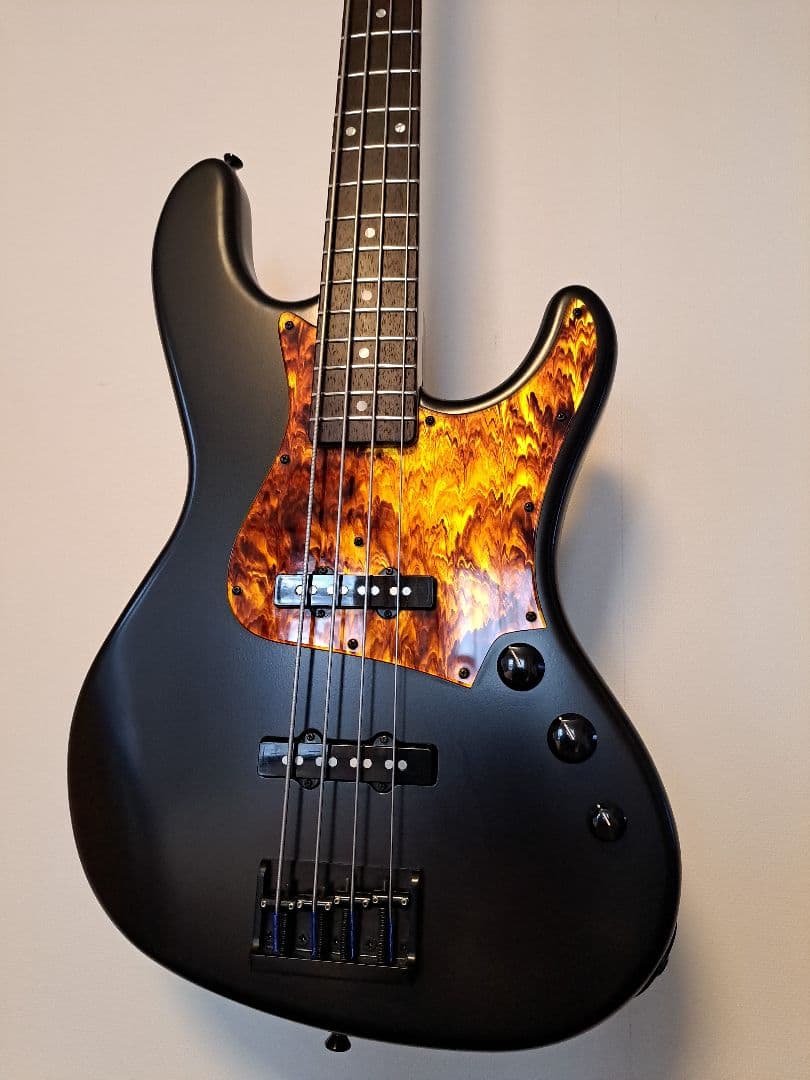 ぺ*る様 FreedomCustomGuitarResearch Anthra