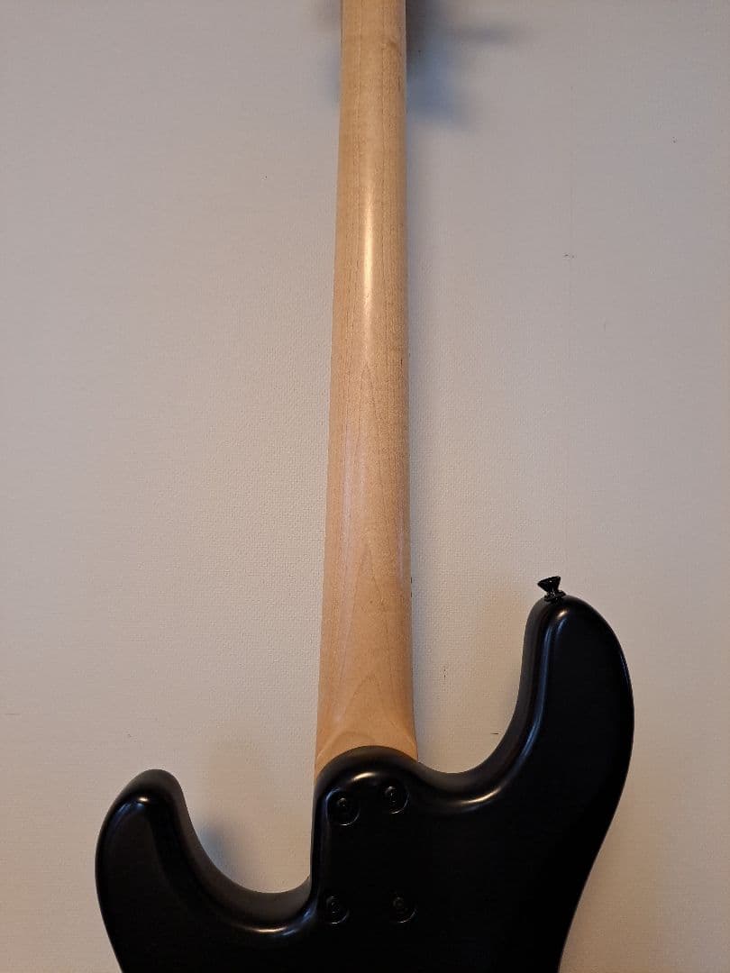 ぺ*る様 FreedomCustomGuitarResearch Anthra