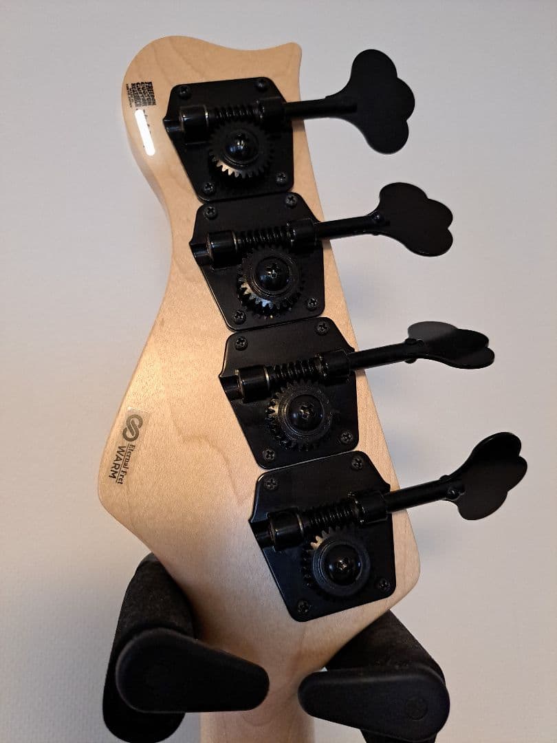 ぺ*る様 FreedomCustomGuitarResearch Anthra