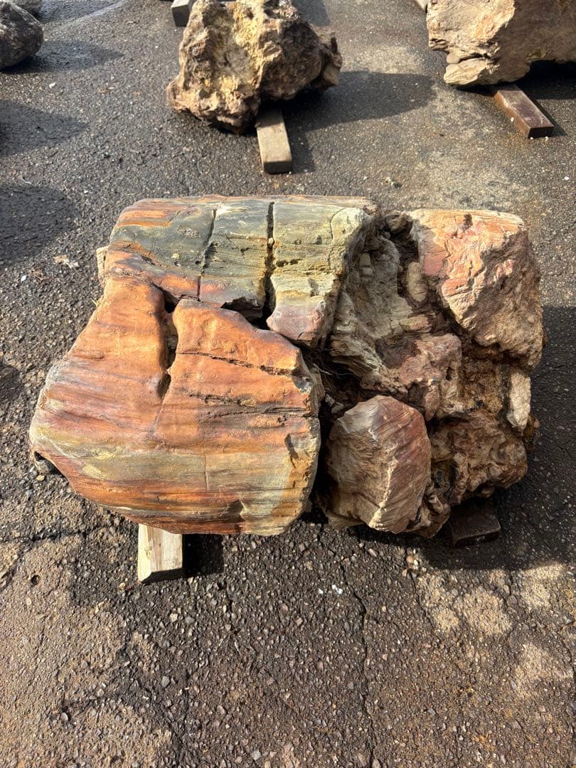 天然木化石 丸太状原石 庭石 観賞石 オブジェ 80cm級