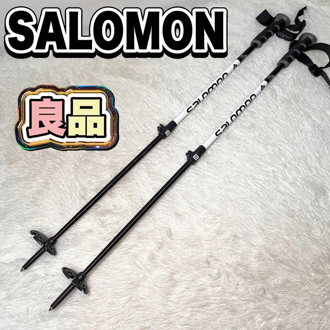 【良品】Salomon サロモン S3 スキーポール