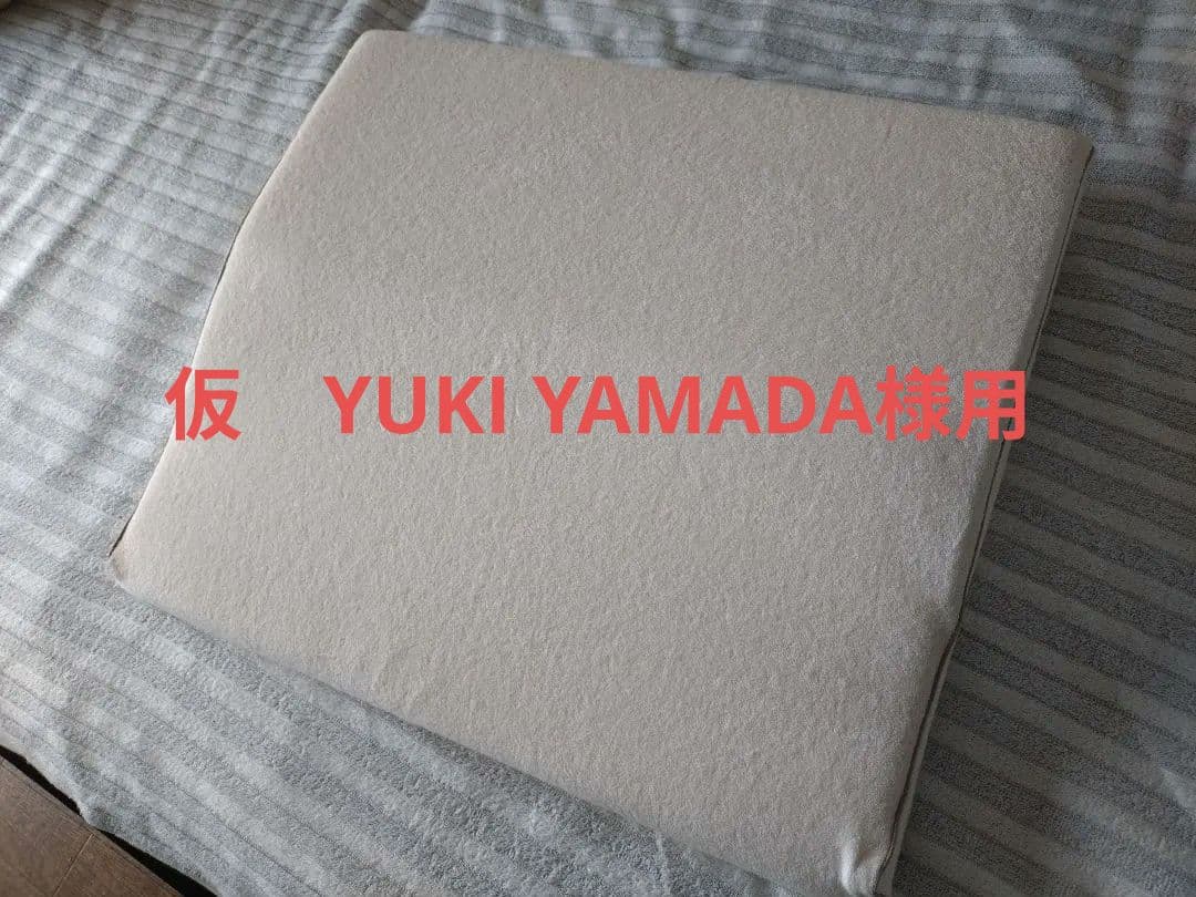 【中古】脳呼吸枕★脳脊髄液調整法（CSFプラクティス）