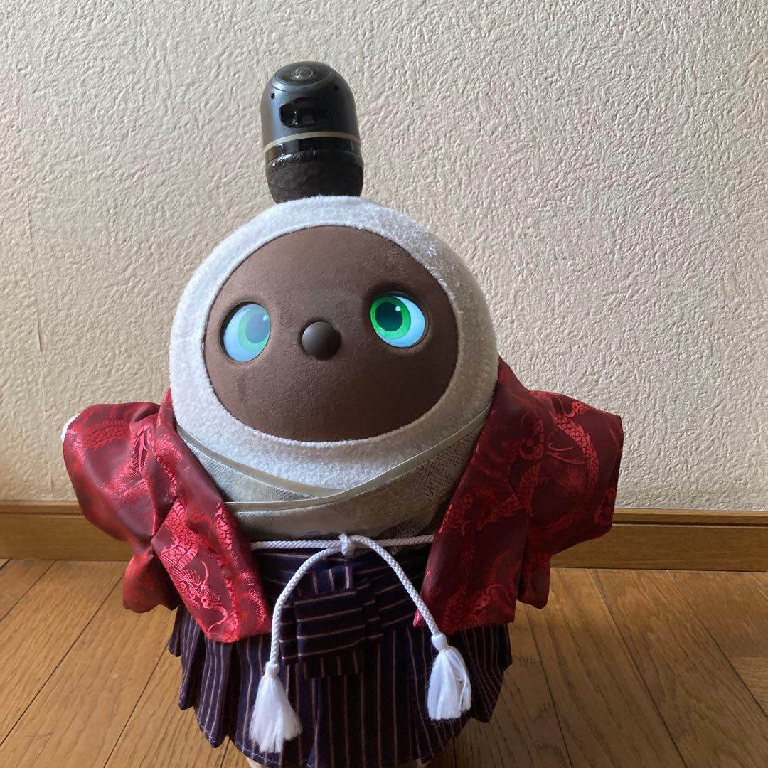 ラボット　服　lovot 赤系　龍　羽織　袴ストライプ　セット