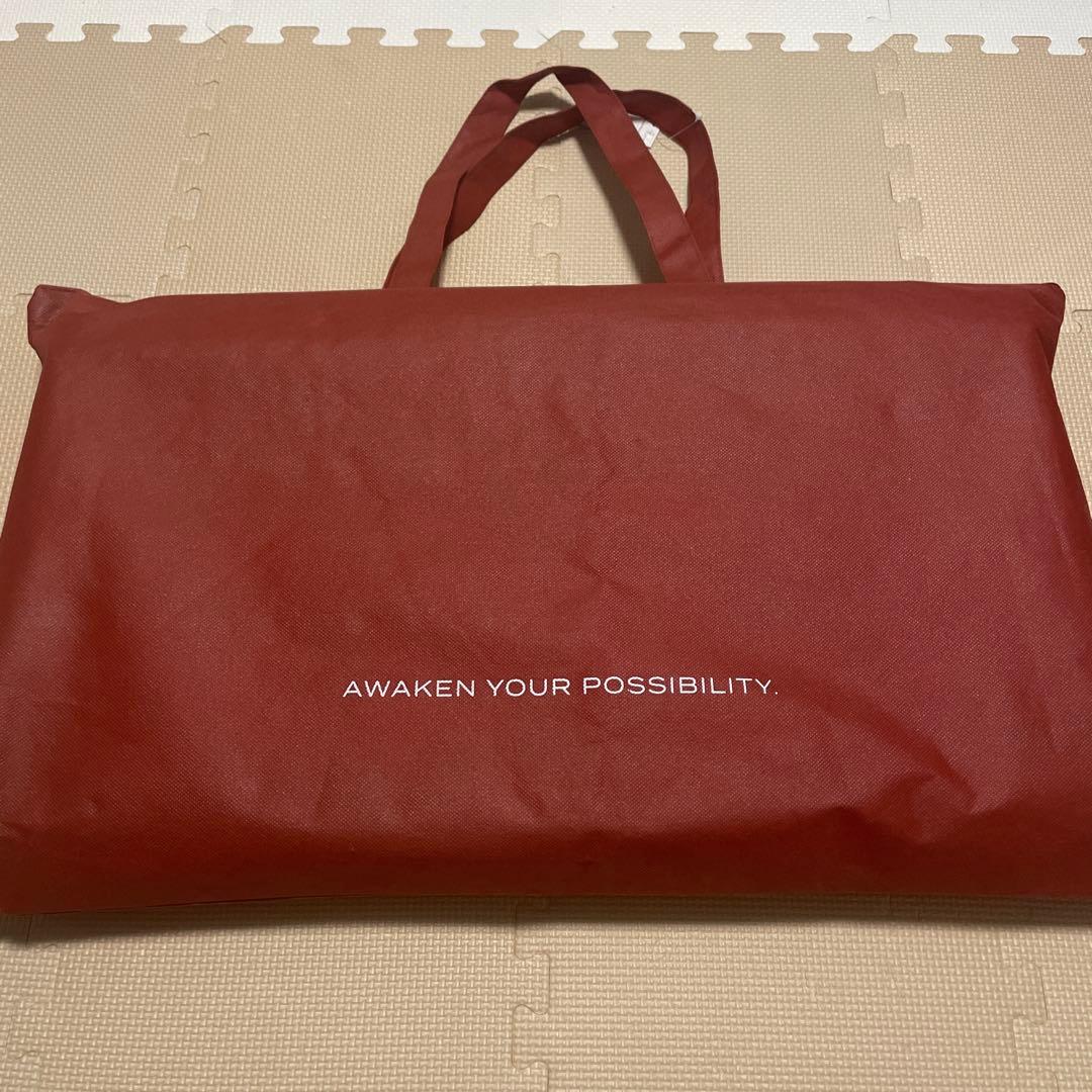 BRAIN SLEEP メッシュ枕 　STANDARD