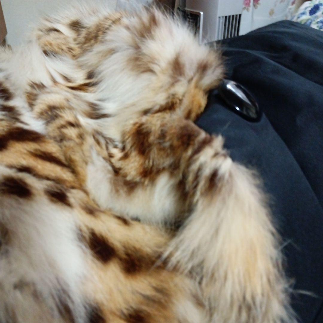 白とベージュの山猫の柄のロングコートでございます。