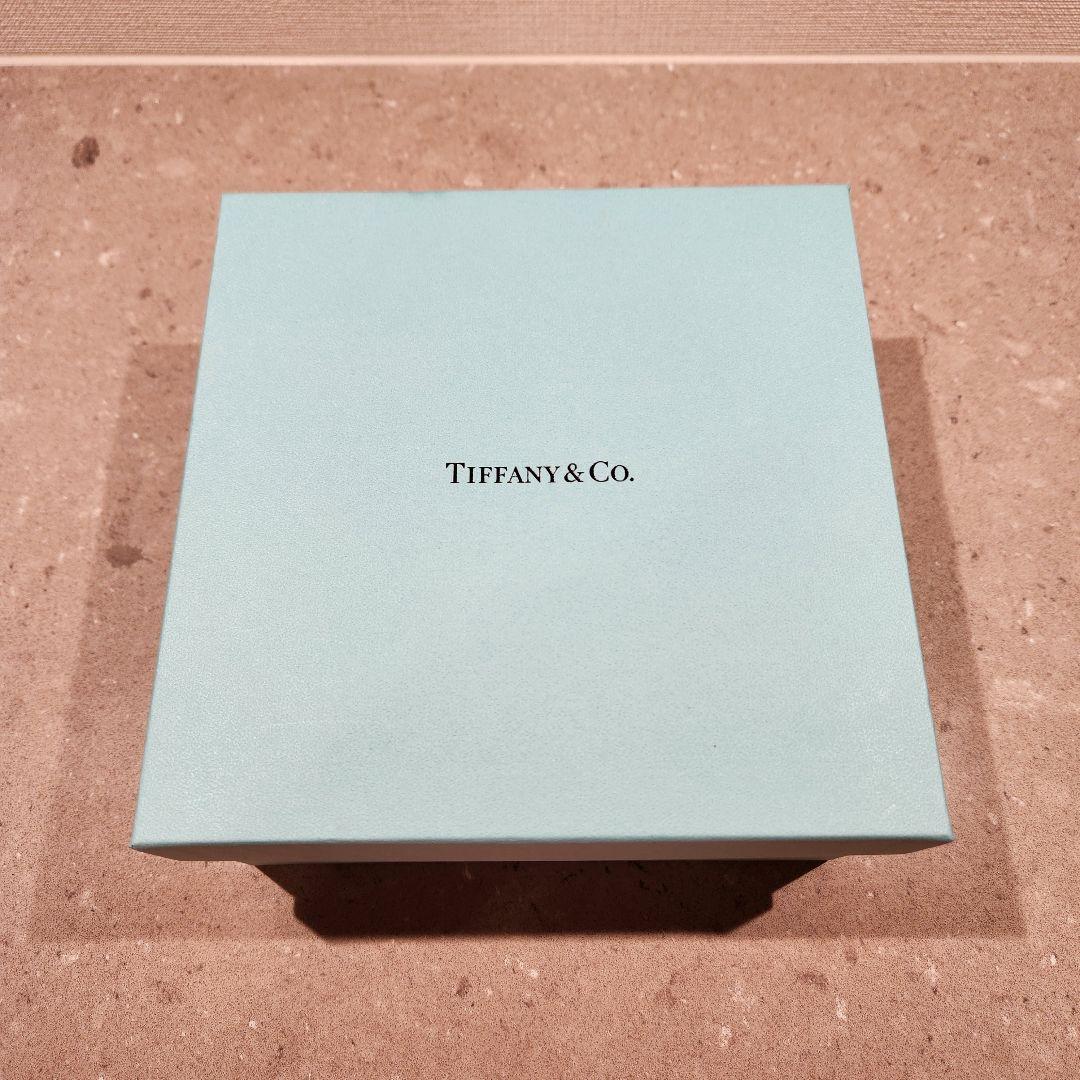 【新品未使用】ティファニー　ブルーリボン　サラダボール　2個セット　ペア　皿