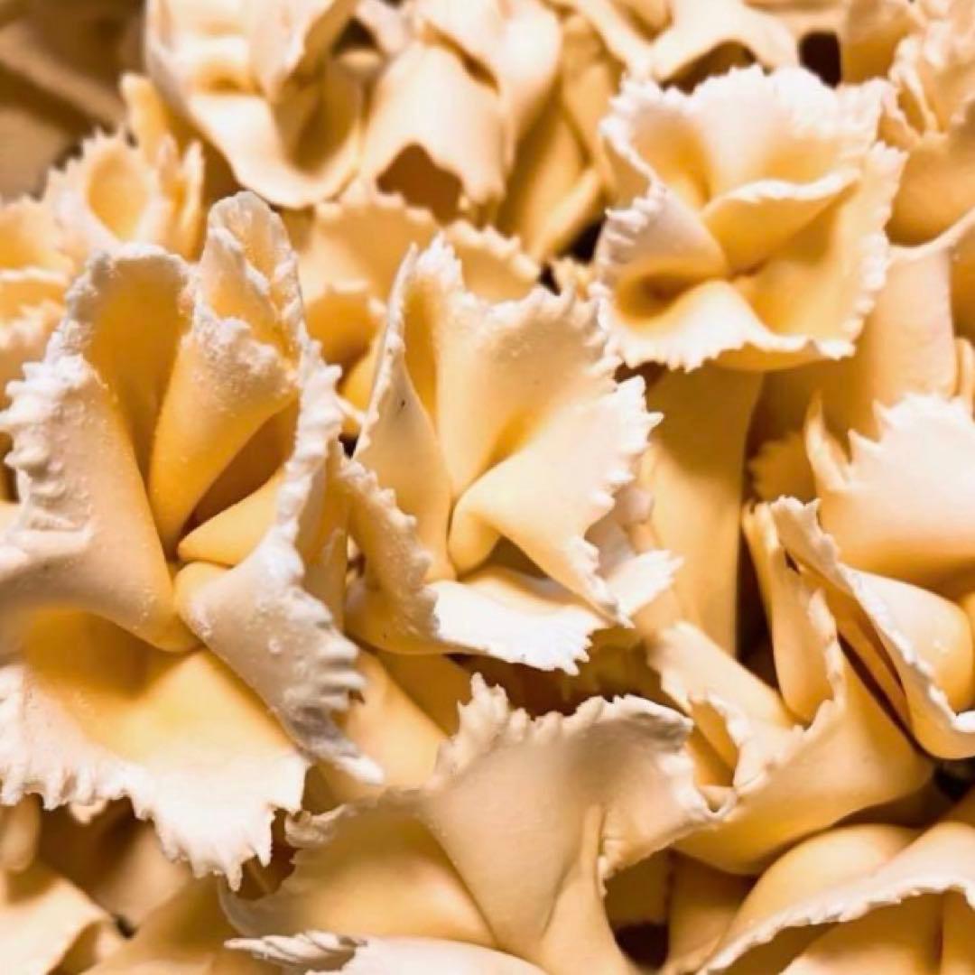 ロテッラNo.3パスタカッター イタリアサルデーニャ製