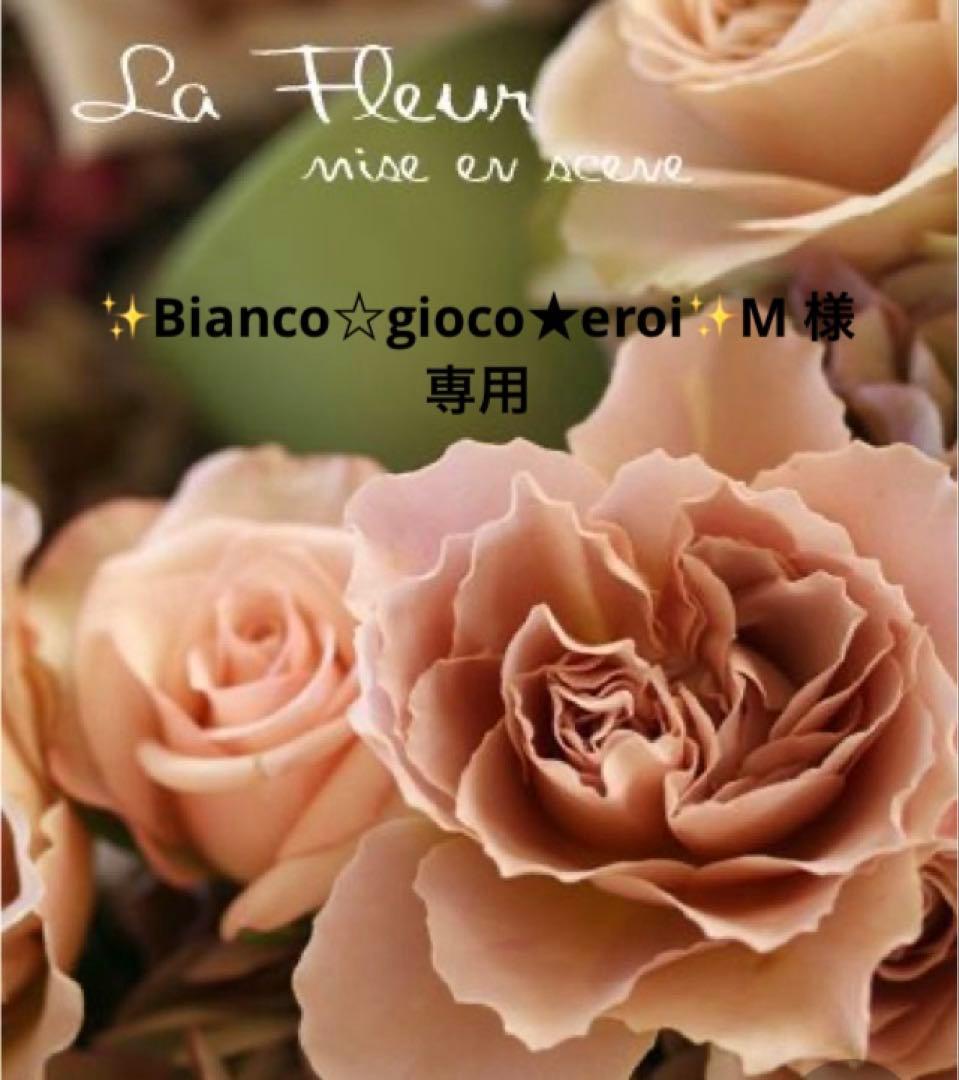 ✨Bianco☆gioco★eroi✨M  ユエ E70/M 34G