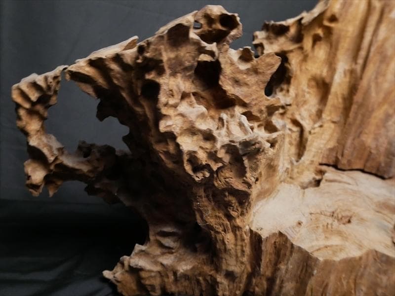 最終値下　収集品　原木　オブジェ　木　年輪　床の間　名木　飾り　3158