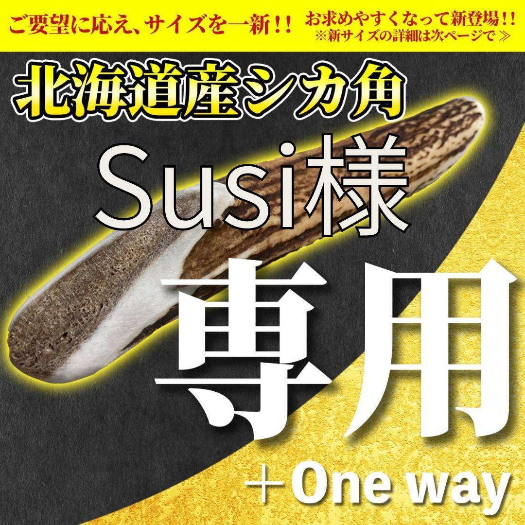 №1Susi商品　詰め合わせ　№1