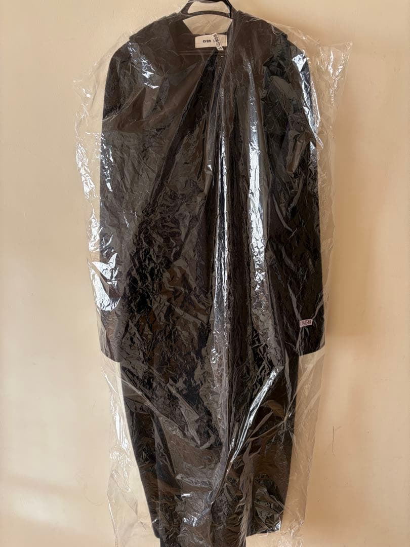 evam eva／press wool hooded coat