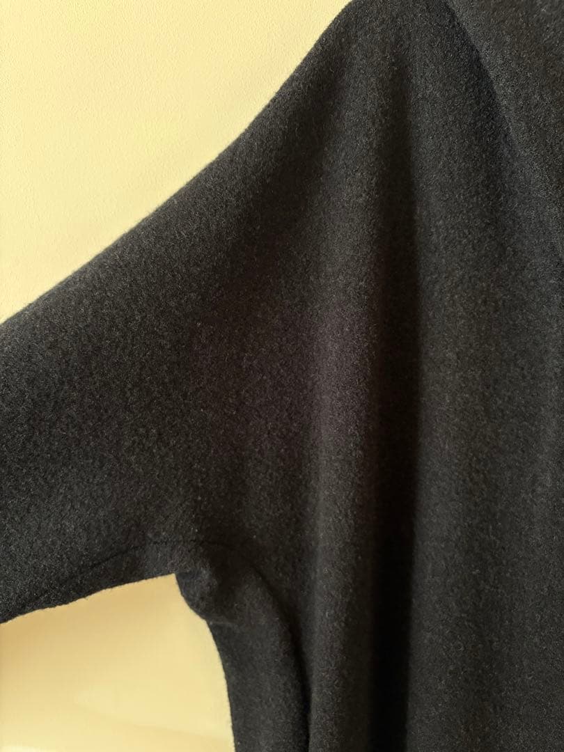 evam eva／press wool hooded coat