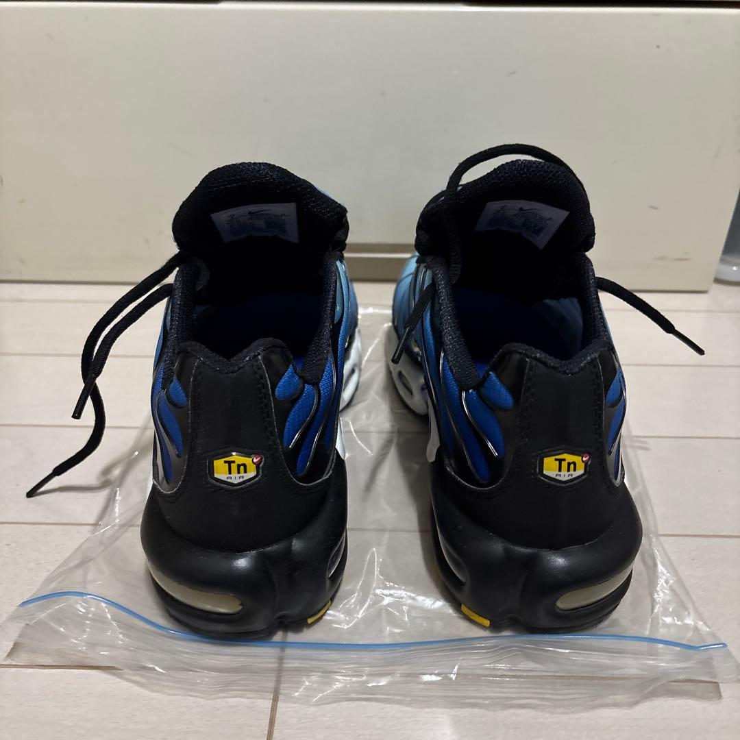 靴 Nike air max plus 26cm