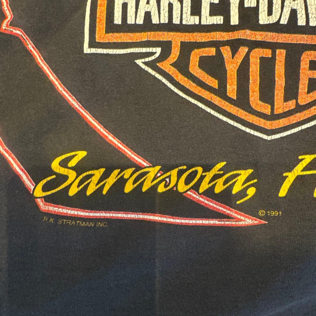 XL Harley Davidson Blue Flame ブルーフレイムロンT