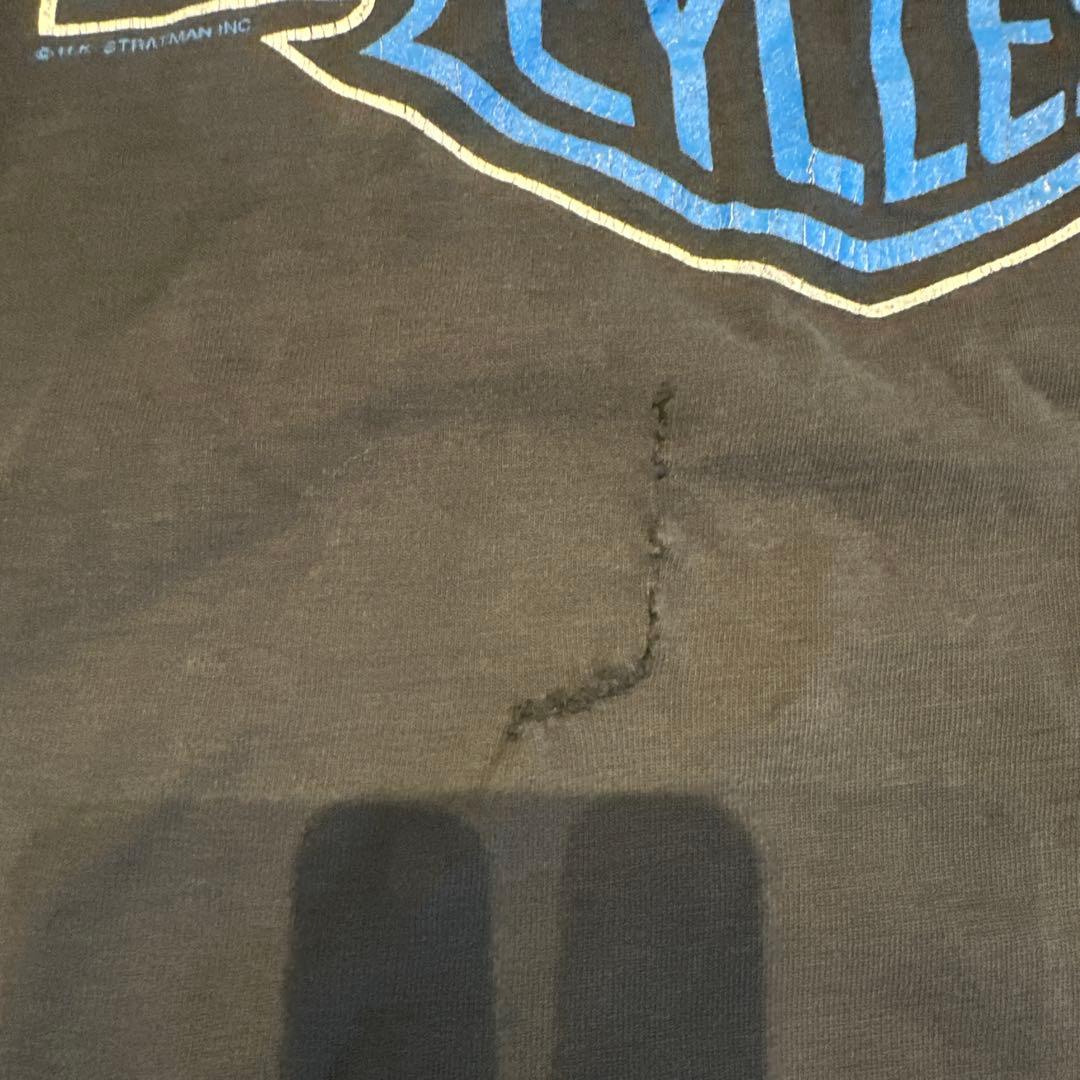 XL Harley Davidson Blue Flame ブルーフレイムロンT