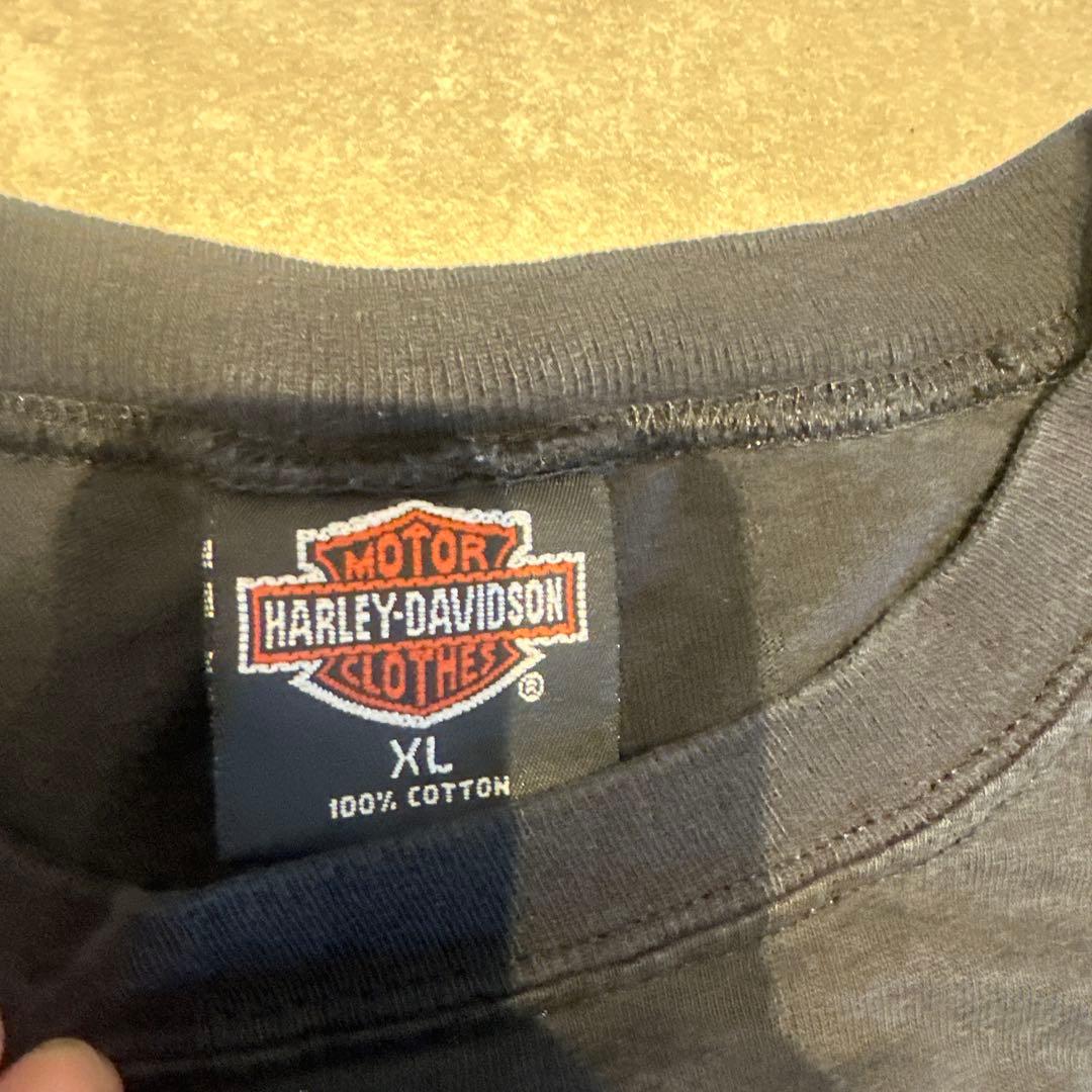 XL Harley Davidson Blue Flame ブルーフレイムロンT