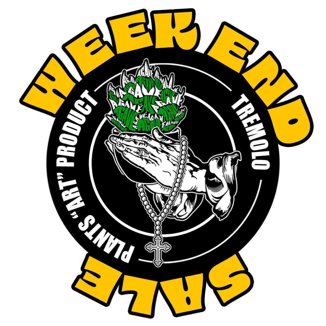 ★2/15(日)まで週末セール中★アガベ　グラキリス　パキプス　白鯨　悪魔くん