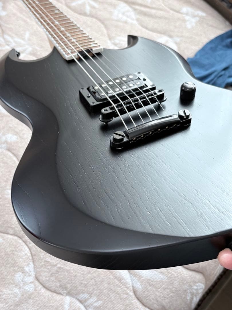 ESP EDWARS E-VIPER-1H ほぼ新品edwards viper