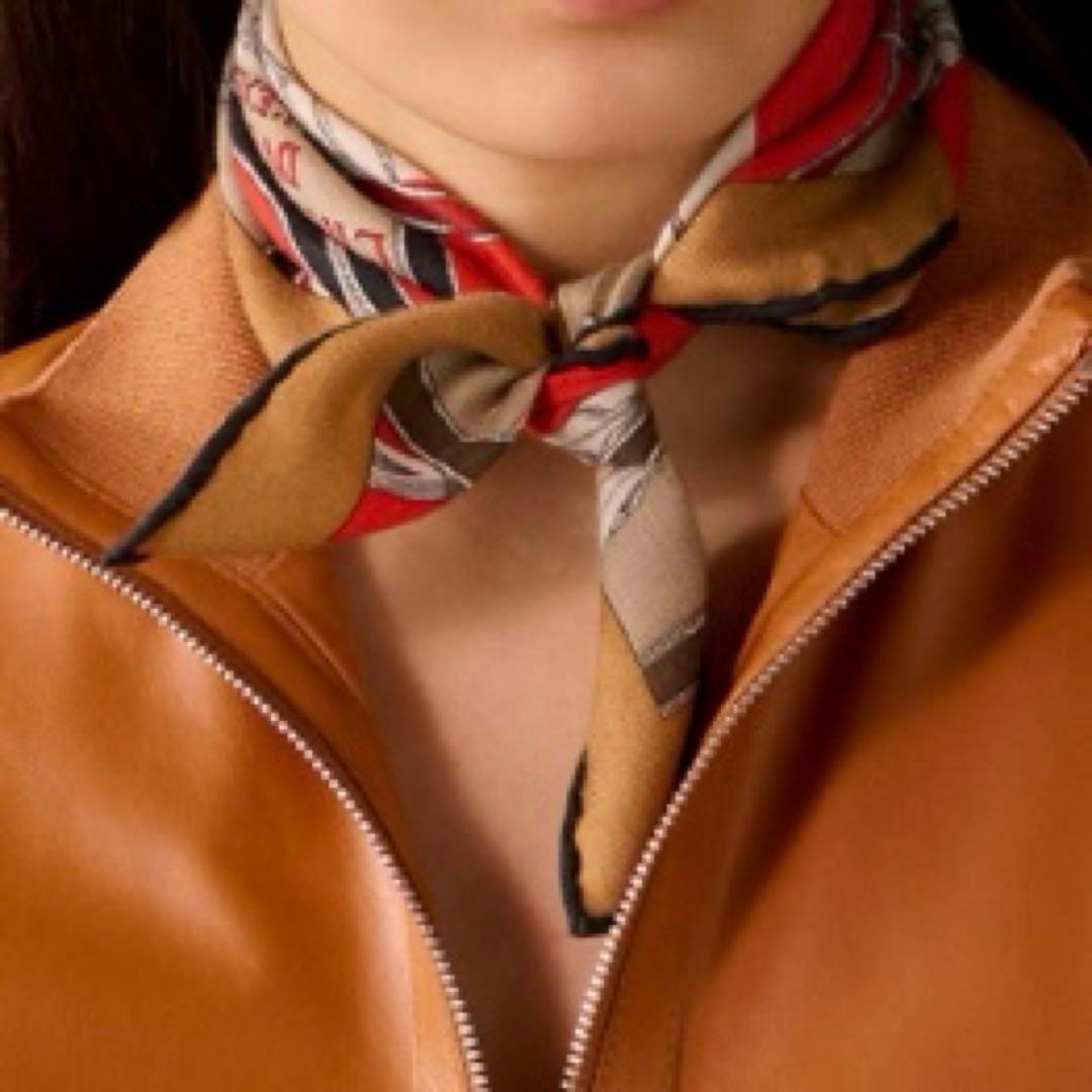 エルメス　ガヴロッシュ　帝王学・バヤデール　45