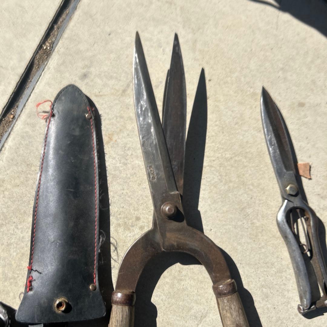 植木鋏 まとめ売り