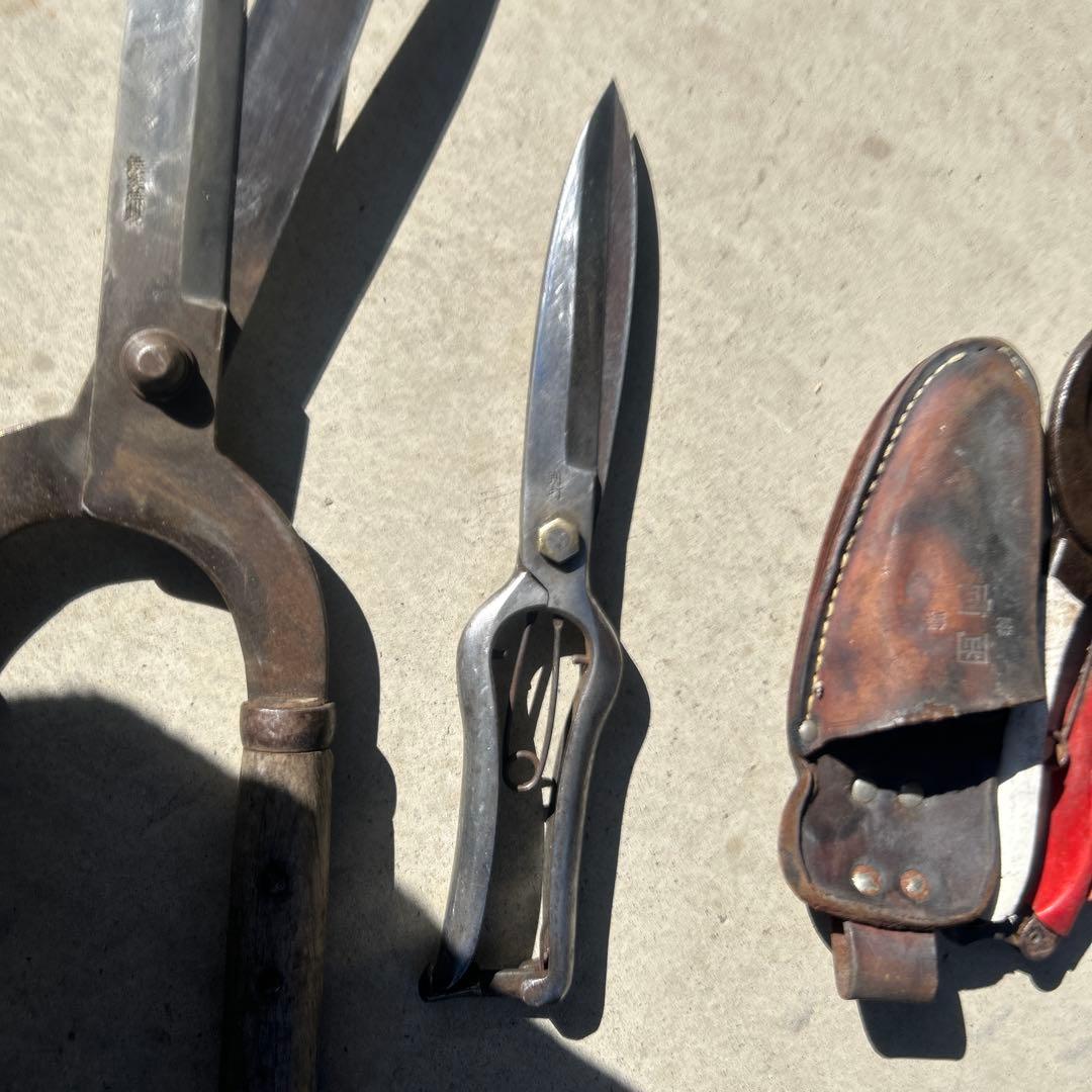 植木鋏 まとめ売り