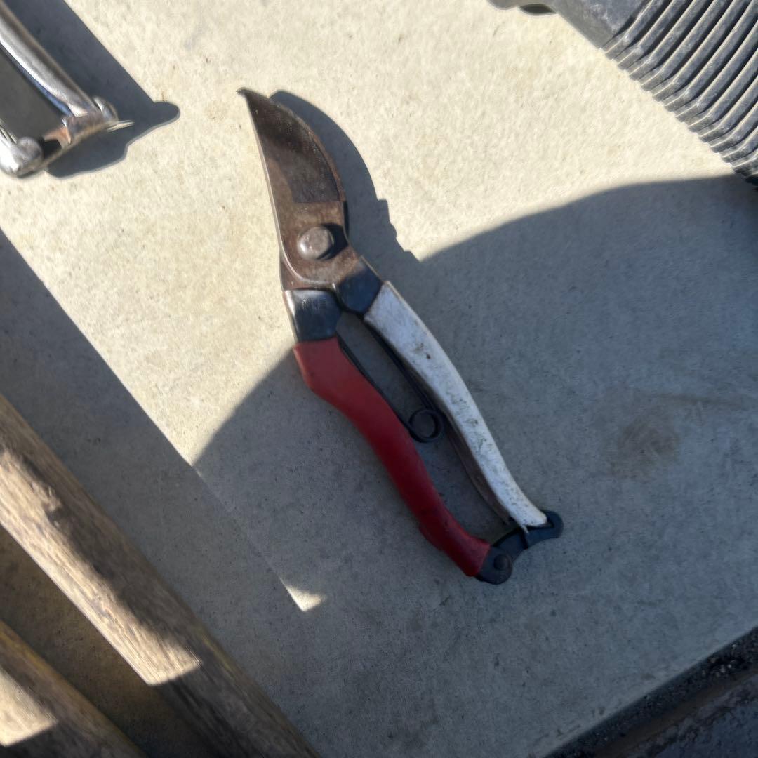 植木鋏 まとめ売り