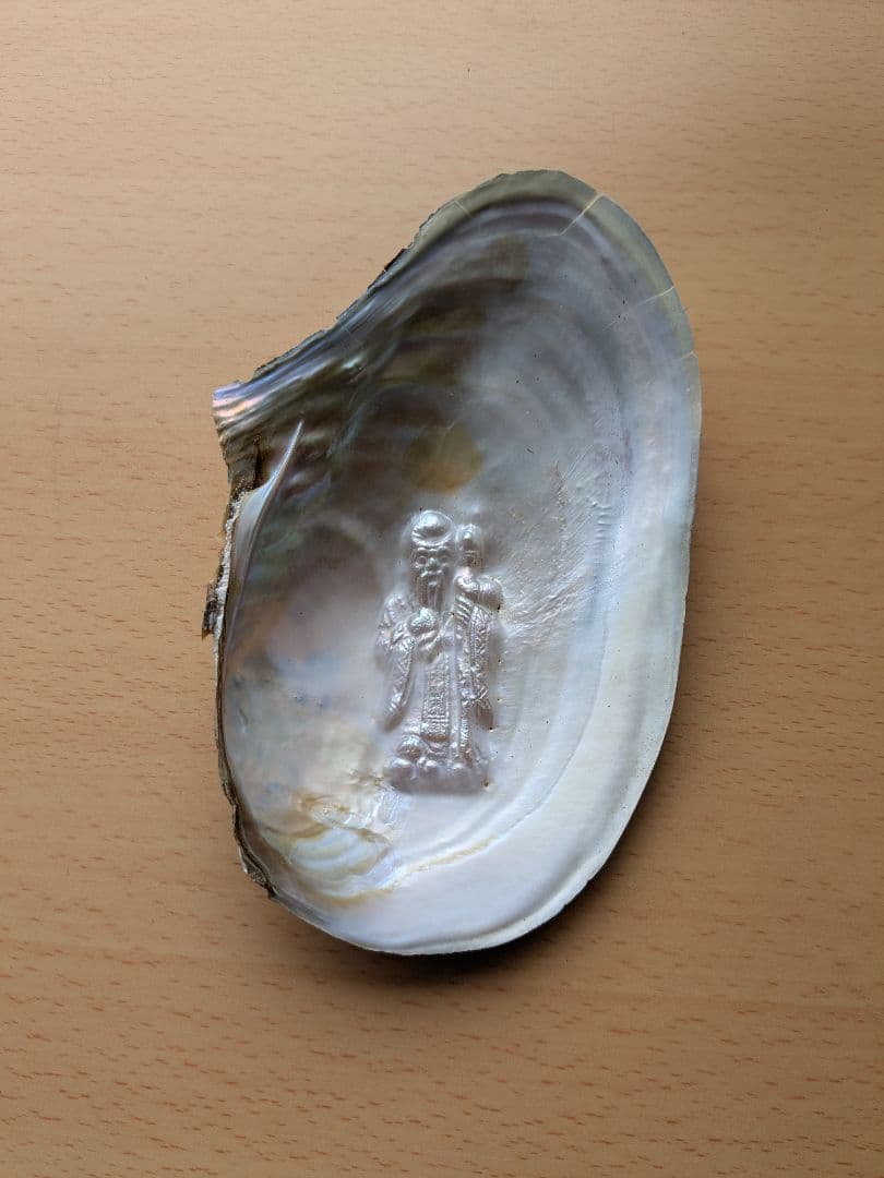 仏像真珠／淡水パール母貝 no.111