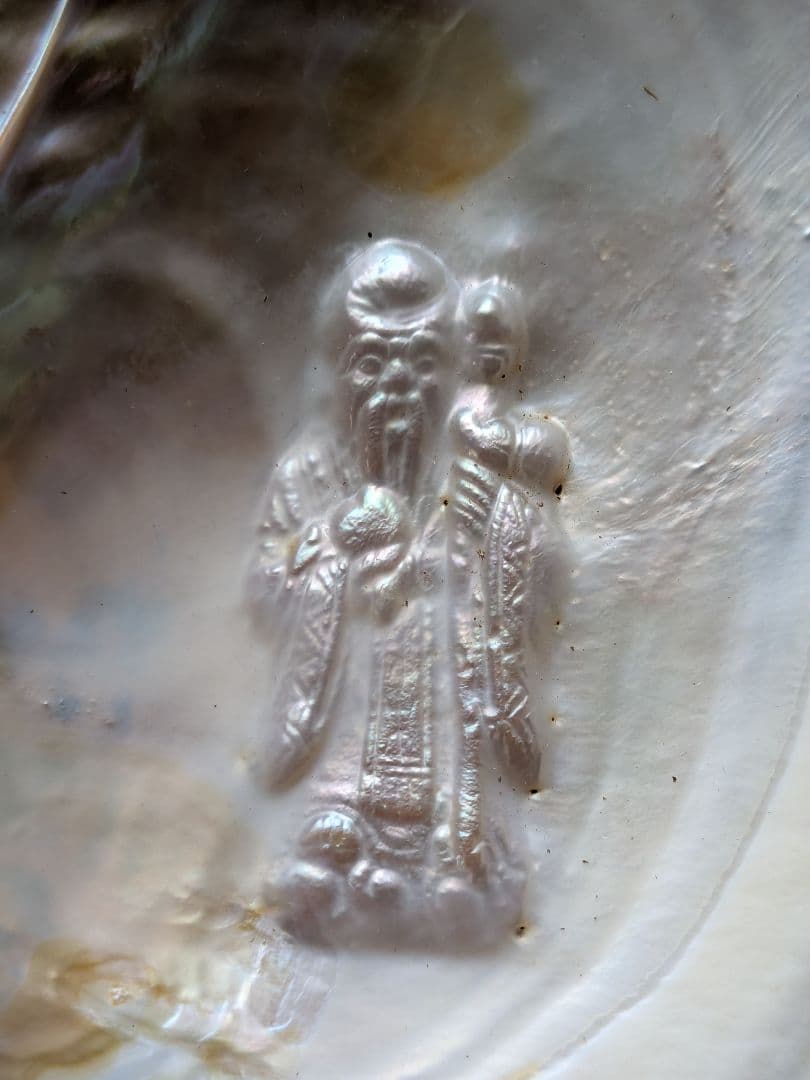 仏像真珠／淡水パール母貝 no.111