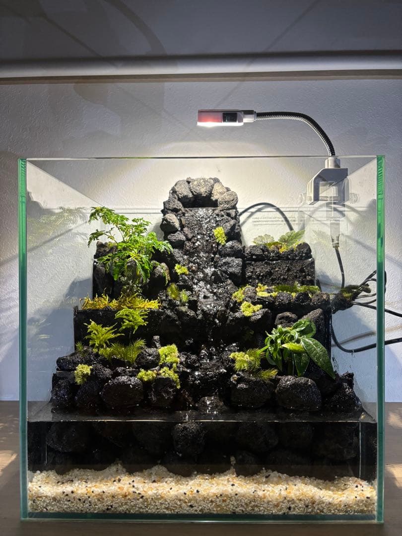 受注作品　アクアテラリウム　滝　池　苔テラリウム　30cm水槽