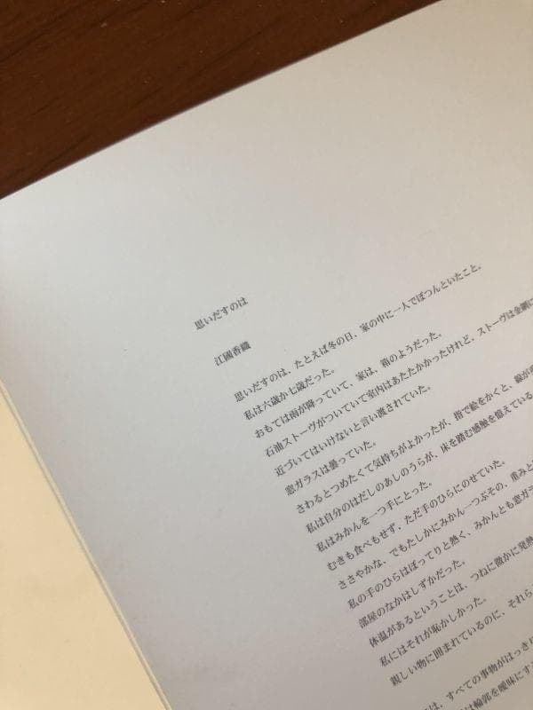 ０２年 原美術館 にて購入★ヴィンセント ギャロ 江國香織 額付 ミニ ポスター