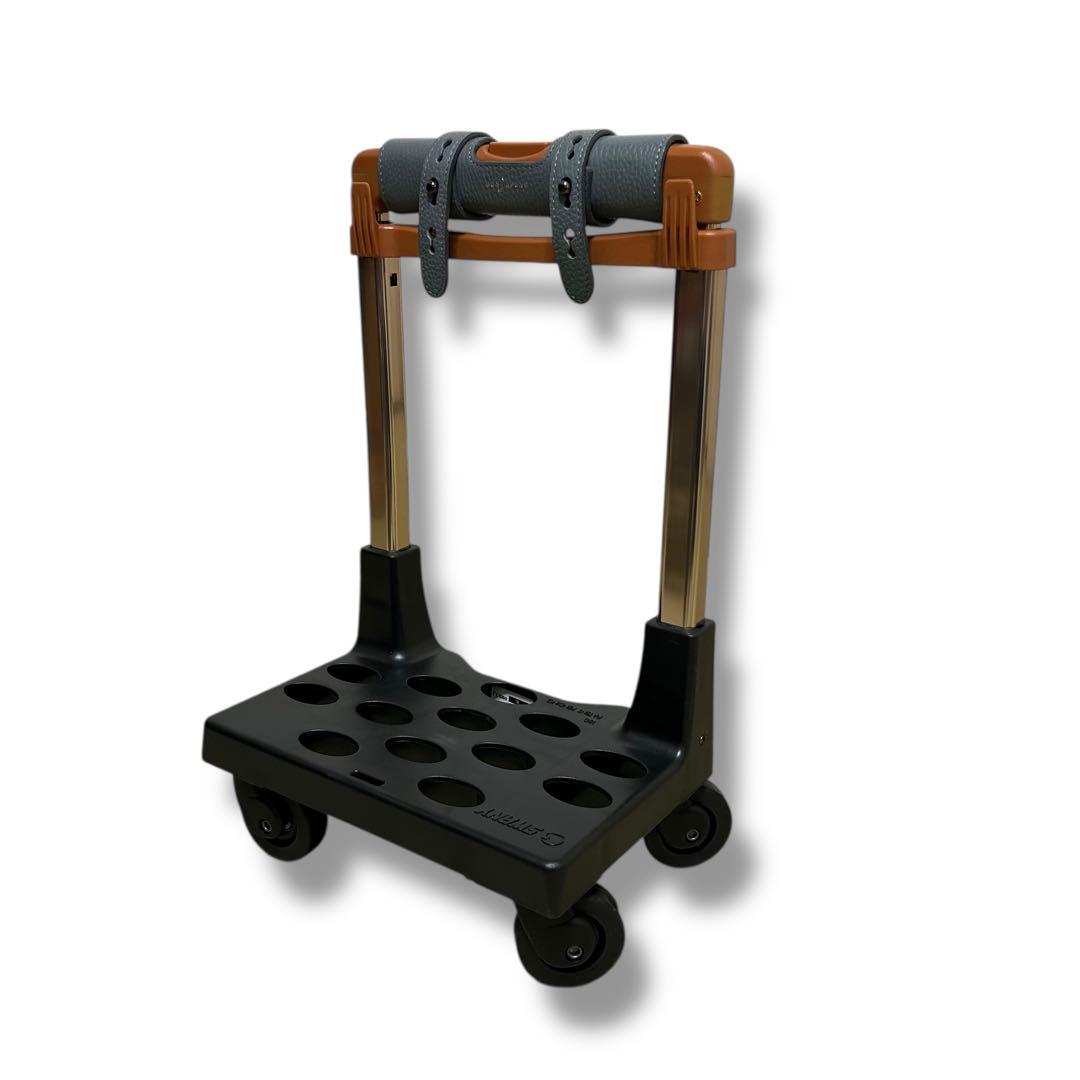 極美品✨ 高級　BON JAPONE スワニー　キャリーバッグ　レザー