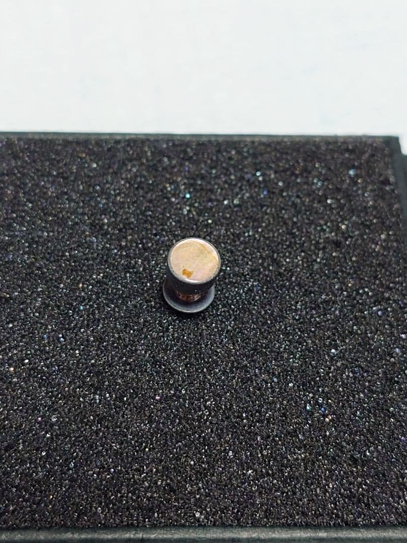 スタンリーゲス　ラウンドシェルピアス Stanley Guess