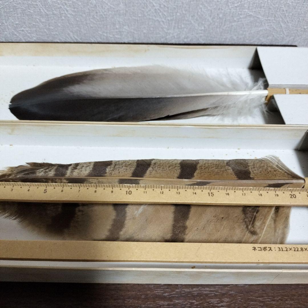 御羽箒 縞梟三ツ羽根 と姉羽鶴羽掃 風炉 紙箱