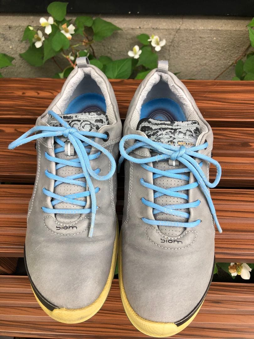 344番 ECCOゴルフシューズbiom グレー37 23.5cmソフトスパイク