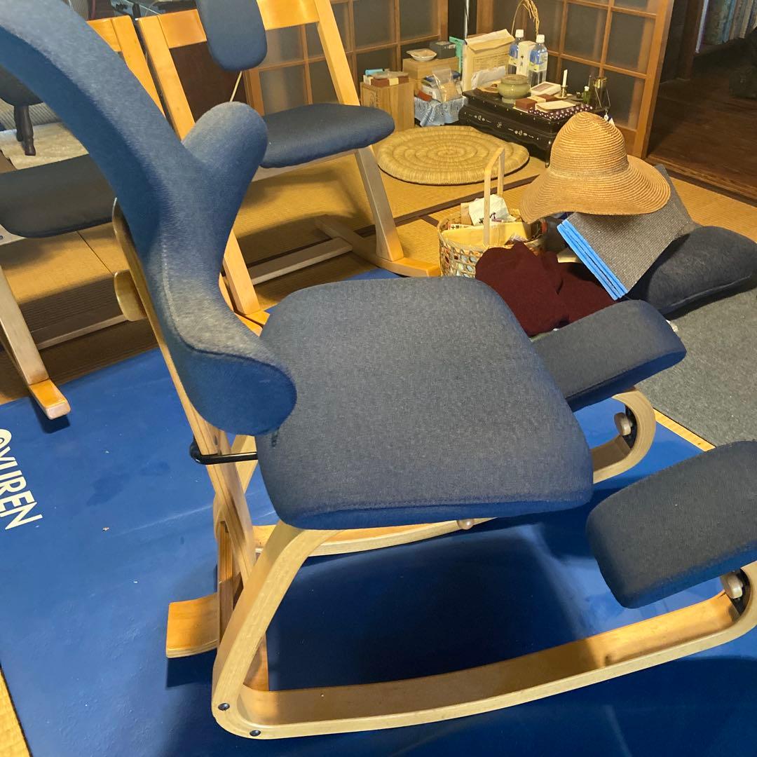 バランスチェア「ザ・シット」Varier by Stokke \"Thatsit\"