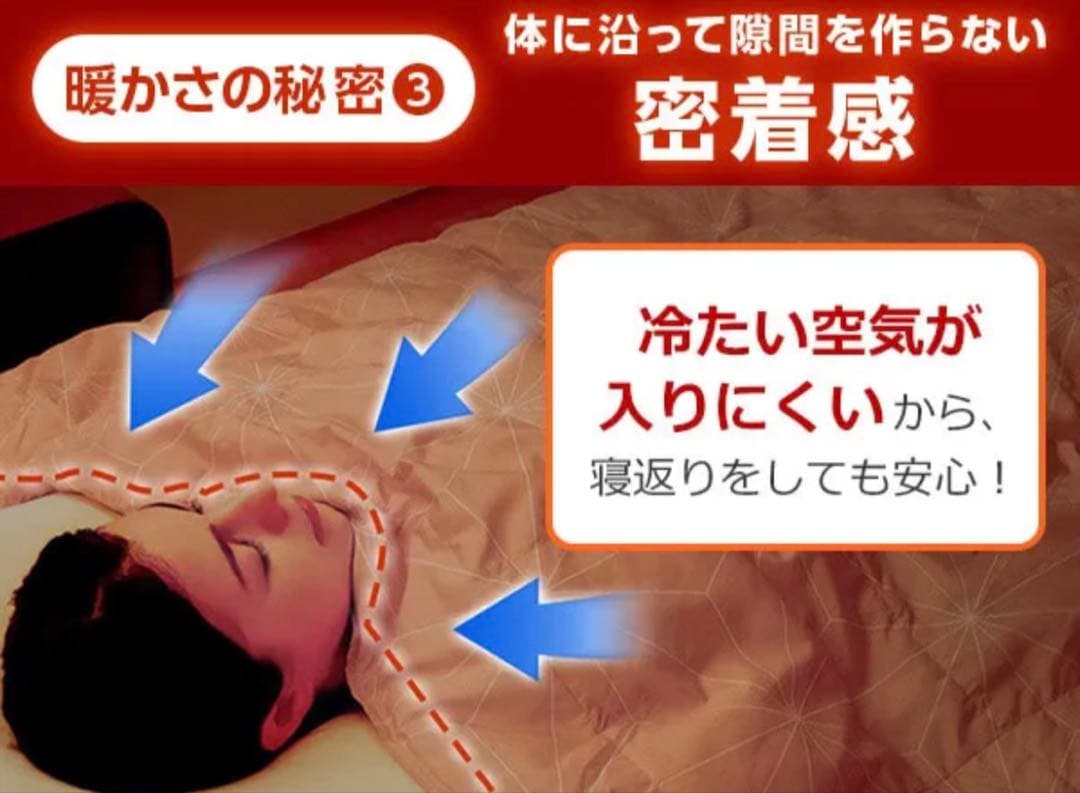 True Sleeper ホオンテック掛け布団　シングル