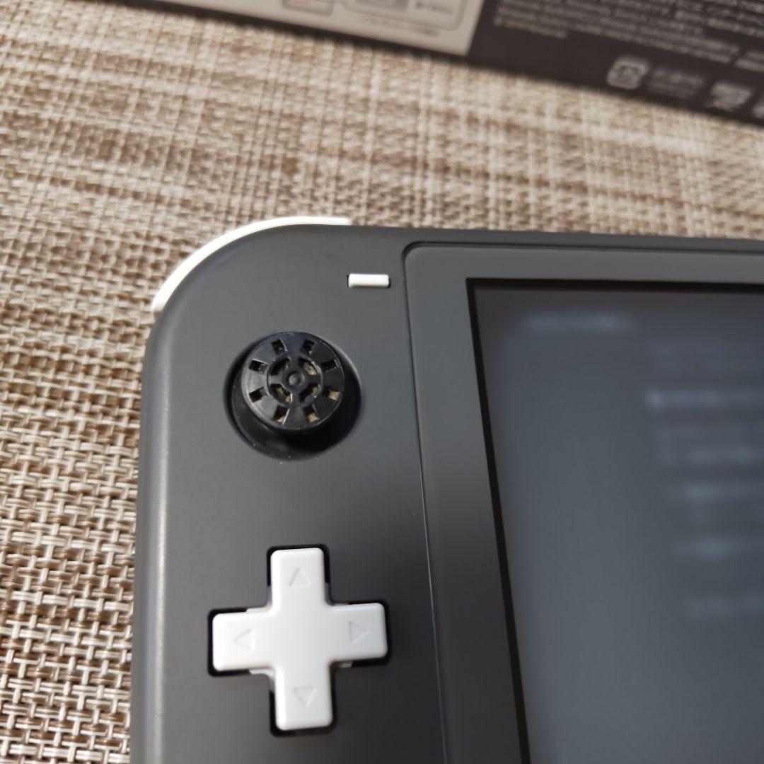Nintendo Switch Lite グレー 本体 充電器 　スイッチライト