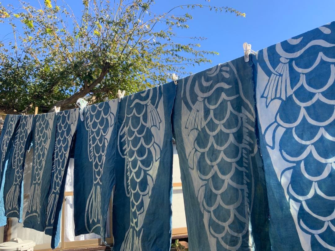 藍染め鯉のぼり　<中単体> 名入れあり　手染め　淡色