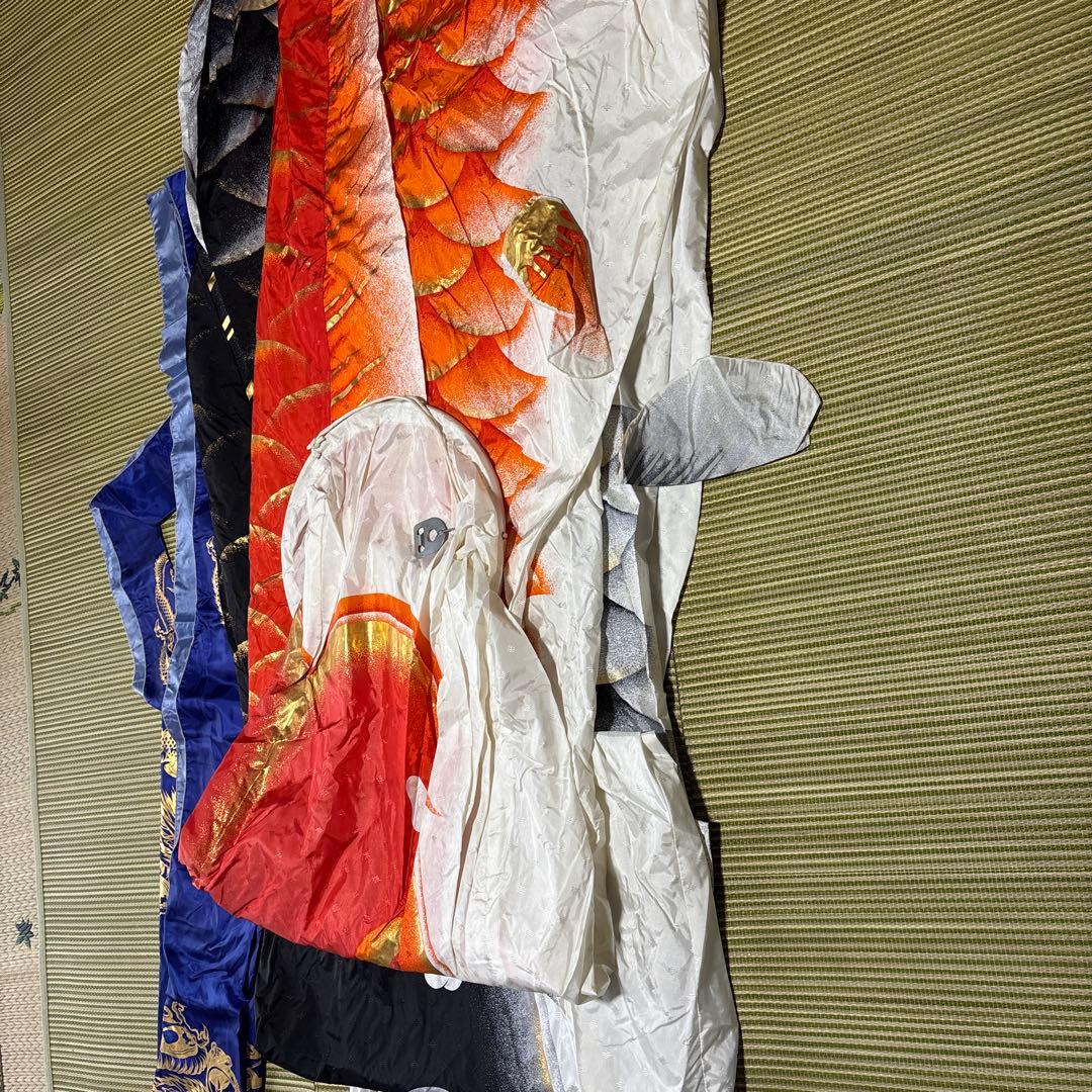 俊峰作　　鯉のぼり　　あすか　５匹