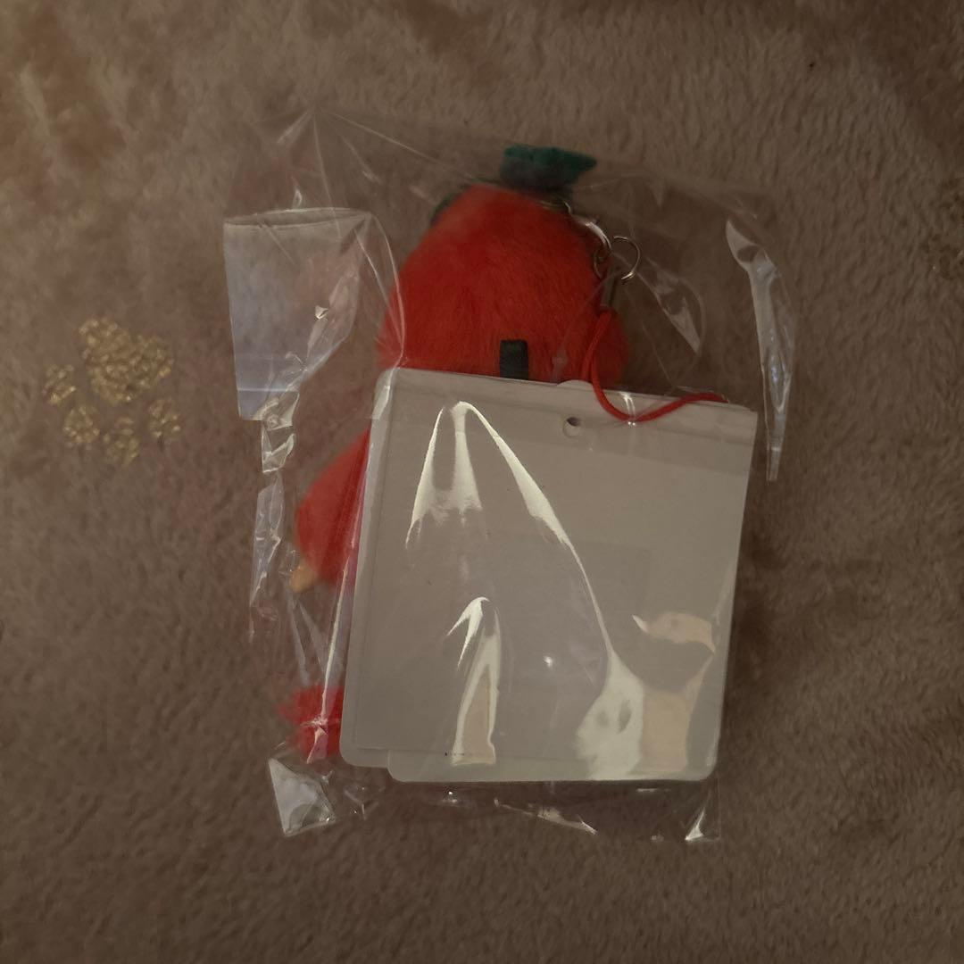 モンチッチ ご当地 熊本限定 すいか スイカ