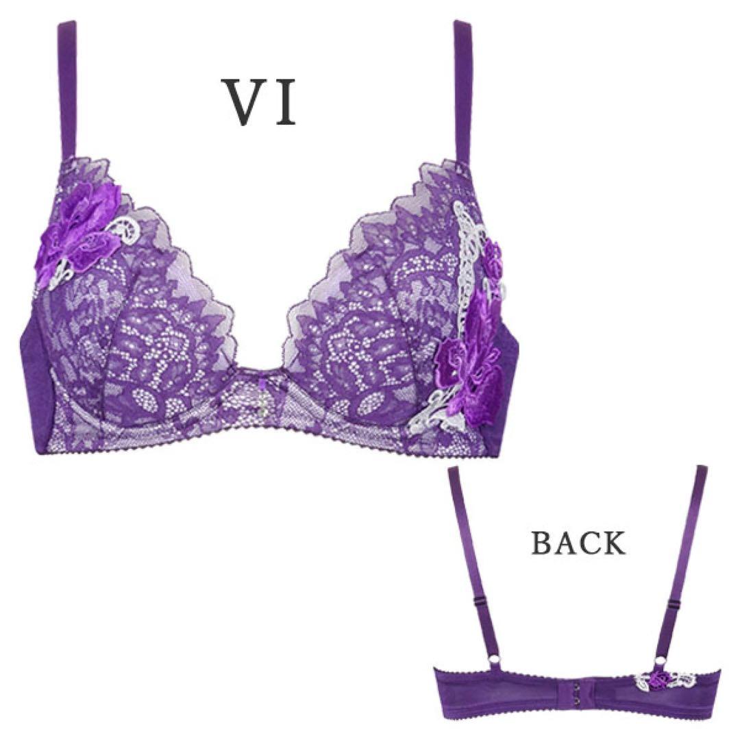 サルート95グループビバラインブラG70バイオレット ブラジリアンソングMサイズ