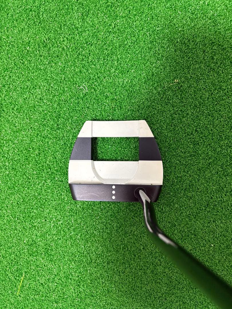 ジェイルバード　ミニ　ブラックシャフト