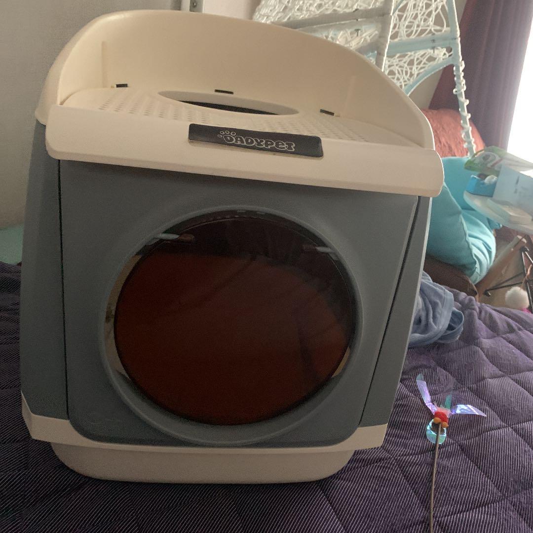 ネコのトイレ大きい