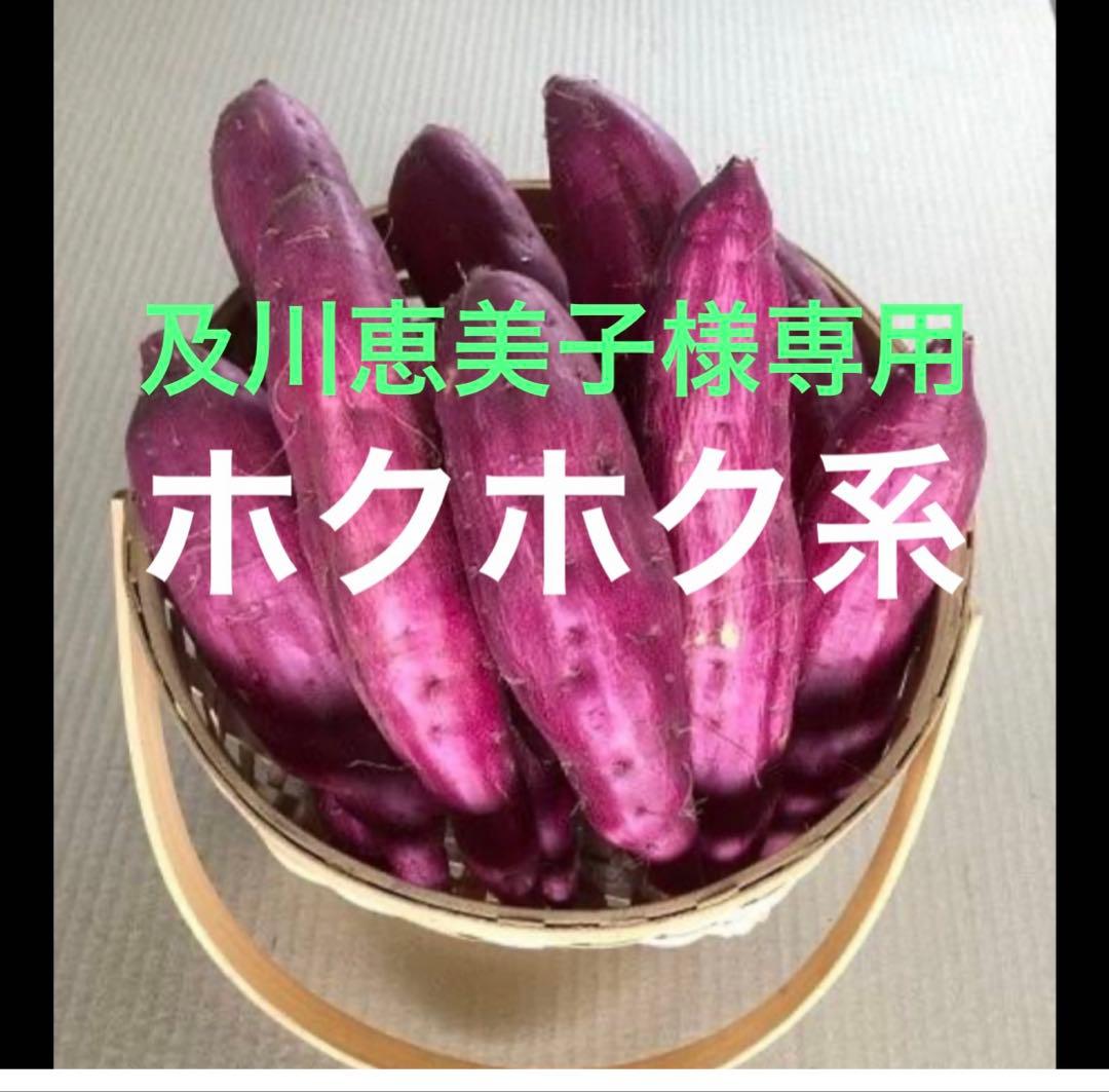 ウィルスフリーバイオ苗あずま200栗かぐや100