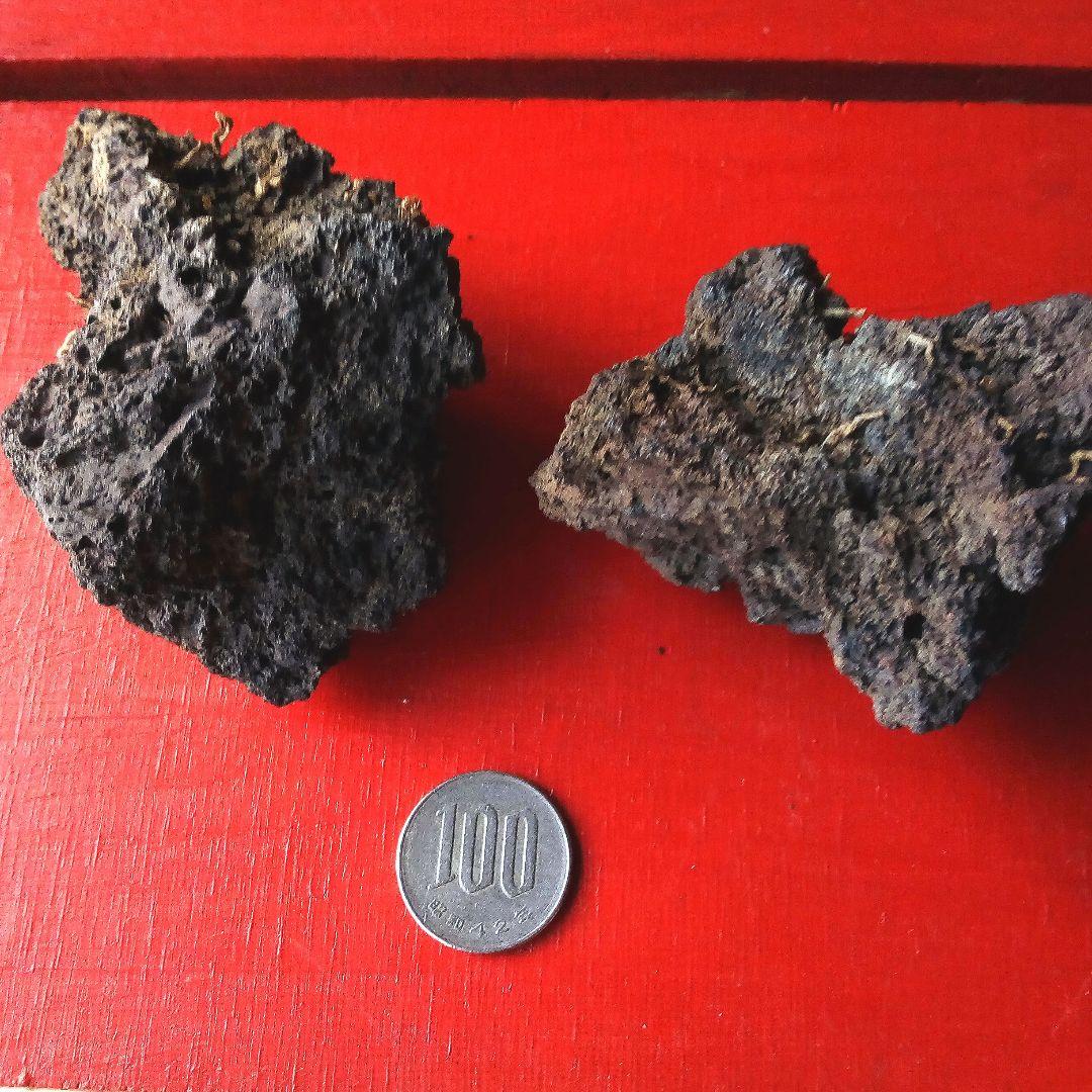 黒溶岩石　2個　　盆栽　ミニチュア庭園　アクアリウム
