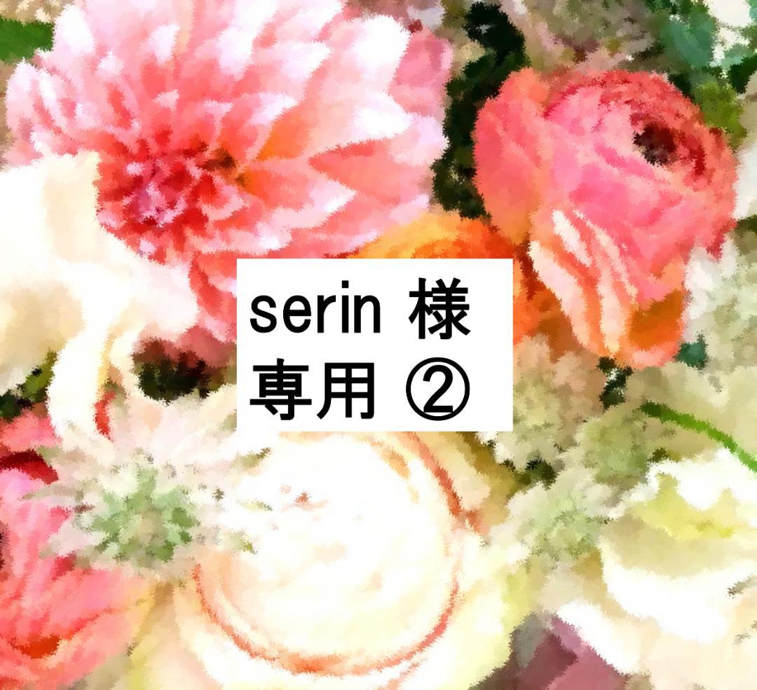 serin ②　2019年10月 最新版へバージョンアップ済 DWE